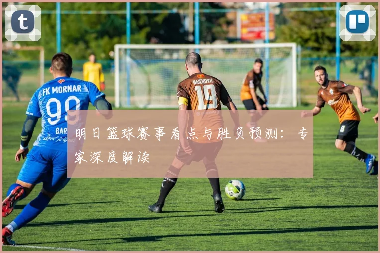 明日篮球赛事看点与胜负预测：专家深度解读
