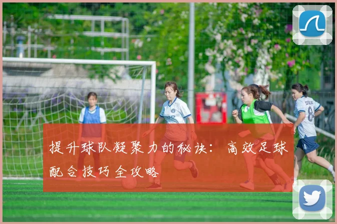 提升球队凝聚力的秘诀：高效足球配合技巧全攻略